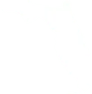 Florida state illustration
