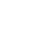 Texas state illustration